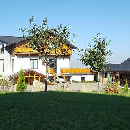 Villa Swiss Săcele エクステリア 写真
