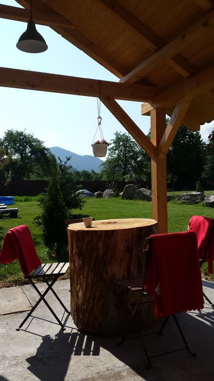 Villa Swiss Săcele エクステリア 写真