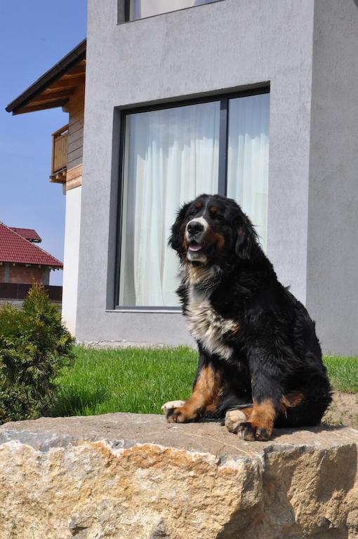 Villa Swiss Săcele エクステリア 写真