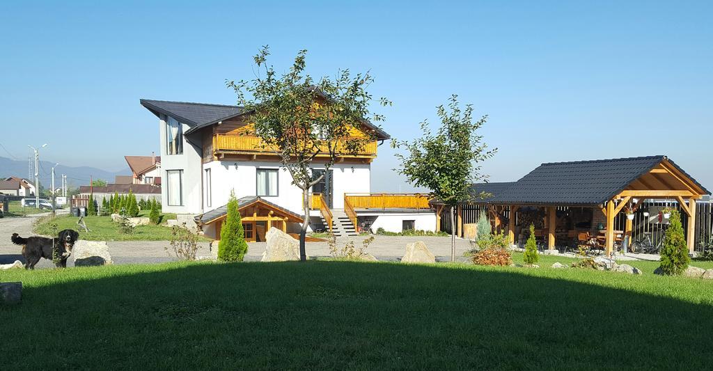 Villa Swiss Săcele エクステリア 写真