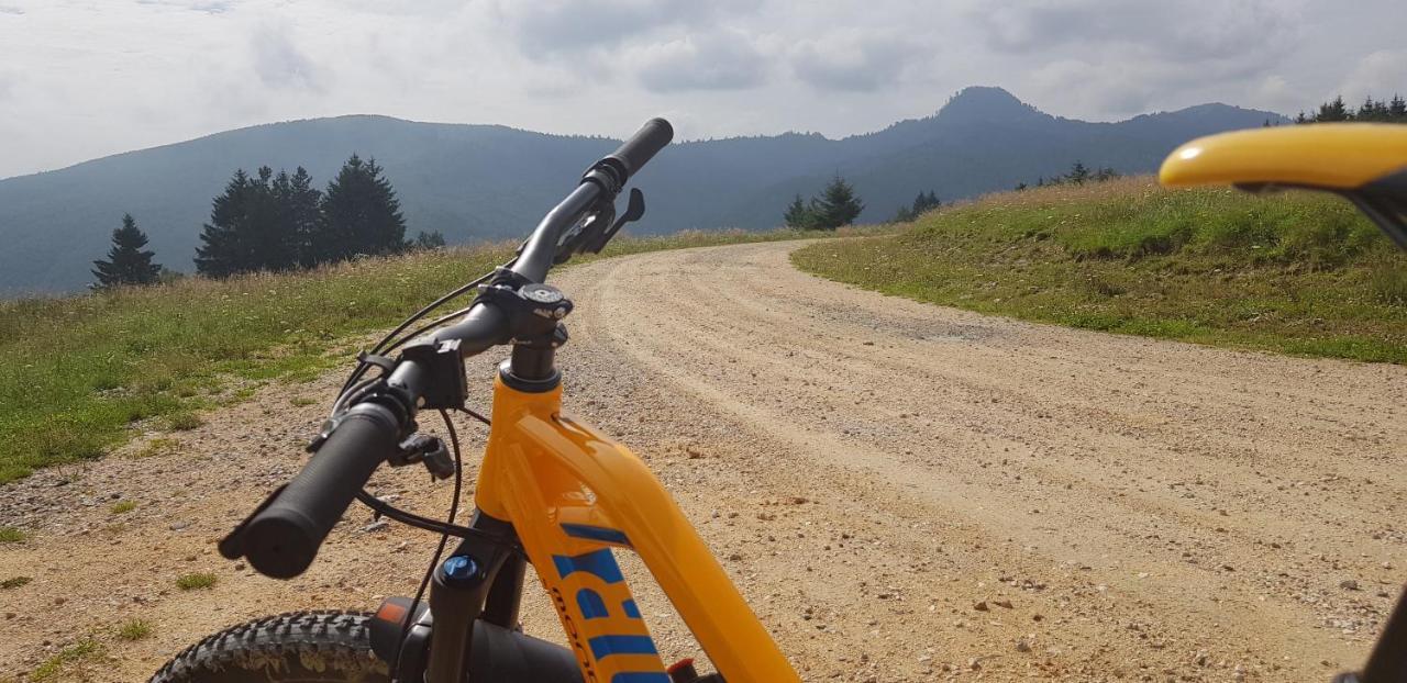 Villa Swiss Săcele エクステリア 写真