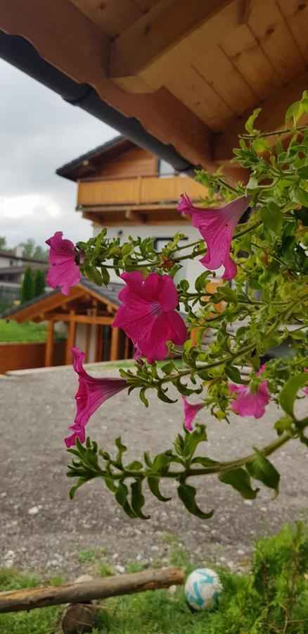 Villa Swiss Săcele エクステリア 写真