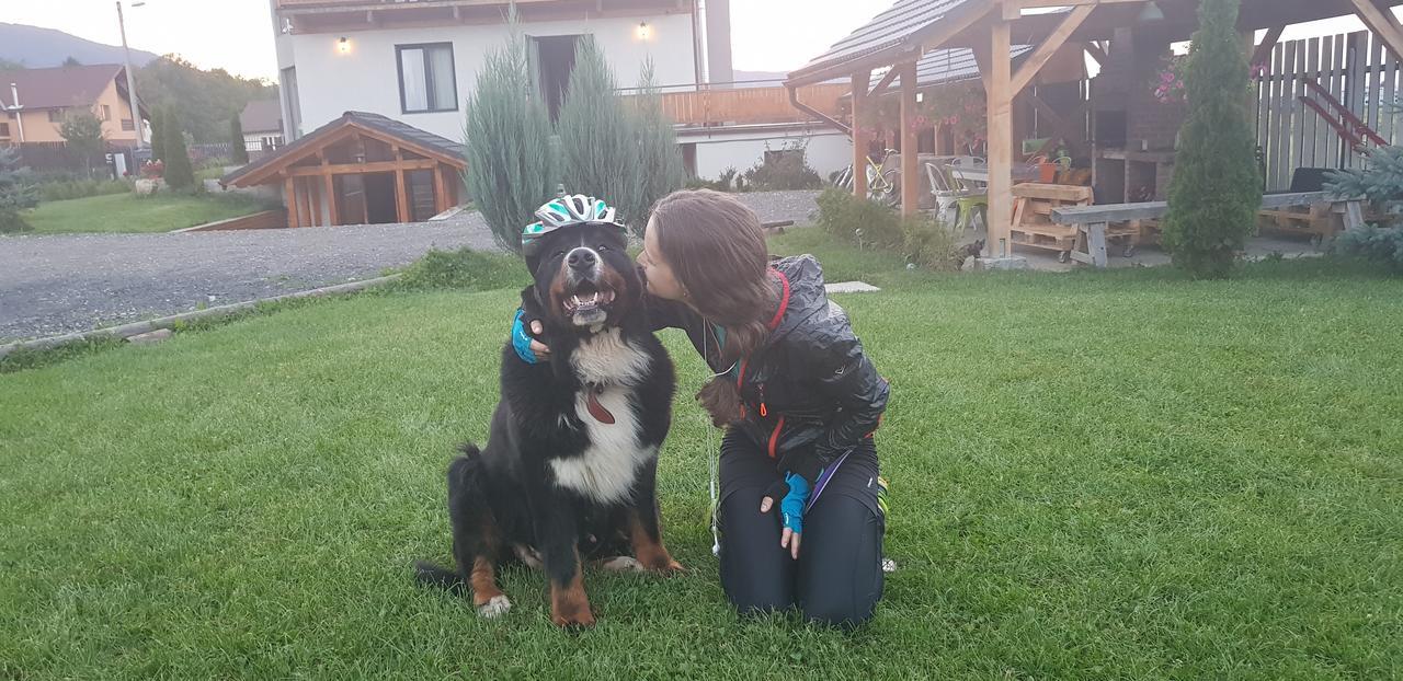 Villa Swiss Săcele エクステリア 写真