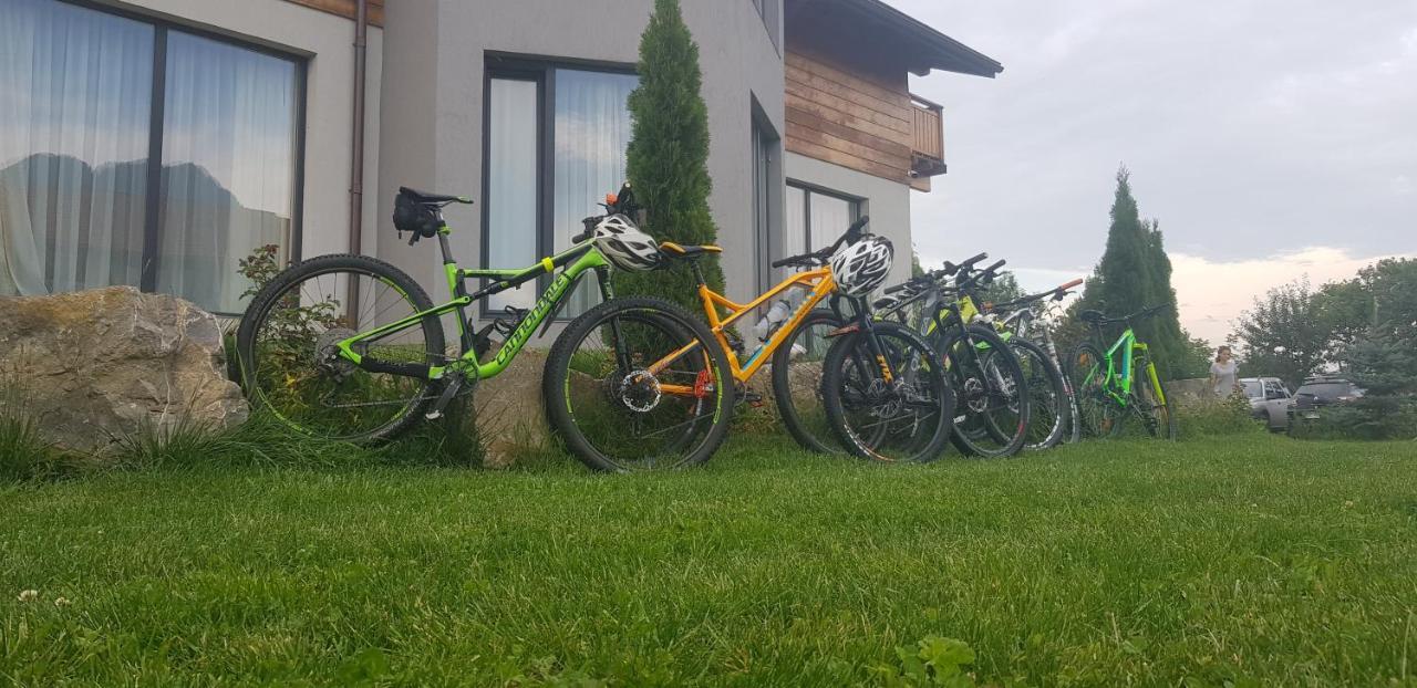 Villa Swiss Săcele エクステリア 写真