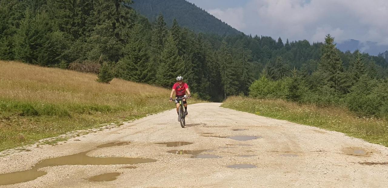 Villa Swiss Săcele エクステリア 写真