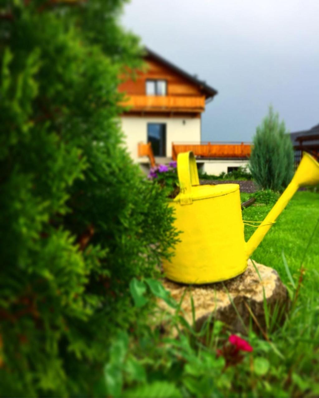 Villa Swiss Săcele エクステリア 写真