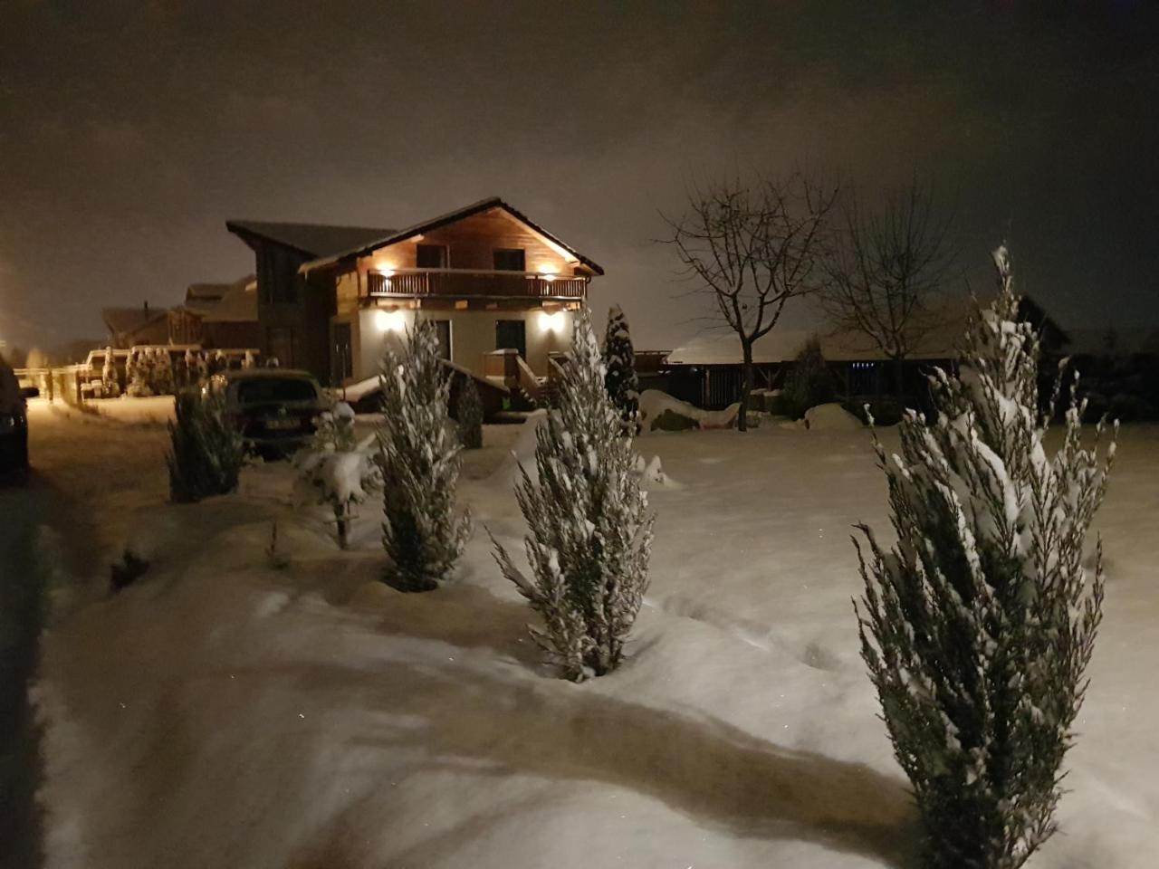 Villa Swiss Săcele エクステリア 写真