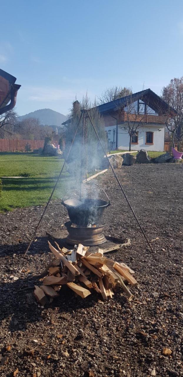Villa Swiss Săcele エクステリア 写真