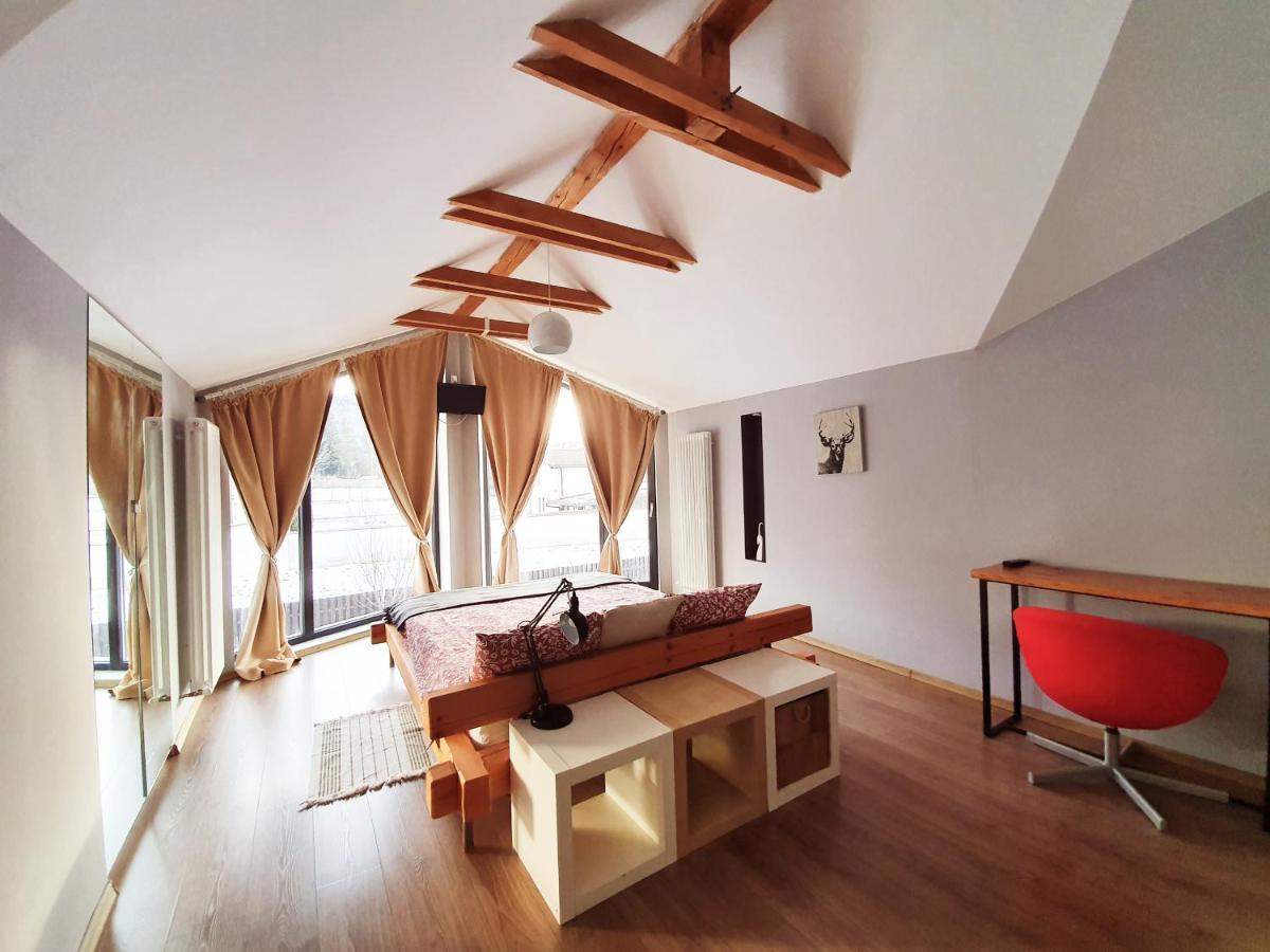 Villa Swiss Săcele エクステリア 写真